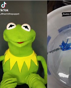 Laughing Kermit the Frog Memes Compilation