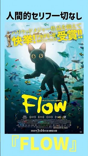 『FLOW』 動物の視点で感じる 恐ろしくも美しい世界 #FLOW #フロウ #アニメーション #アドベンチャー #冒険 #ロードムービー #アカデミー賞 #動物 #猫 #犬 #映画 #映画紹介