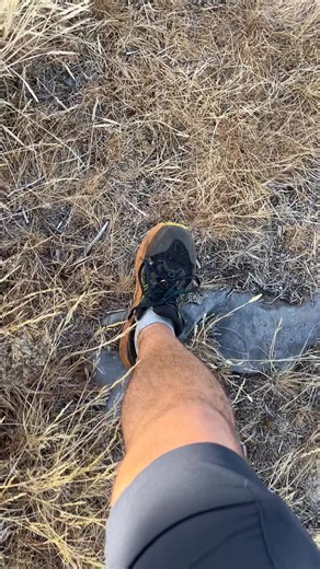 Explorando a Beleza de Madeira