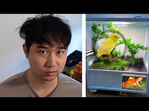 they made a fish tank WITH AN AVIARY | Fish Tank Review 338