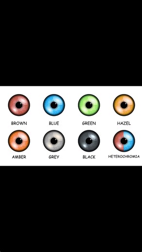 Every Human Eye Color Explained Fast in 1 Video #eyescolors #eyescolorchallange #humaneyes #eyes #eyescolor