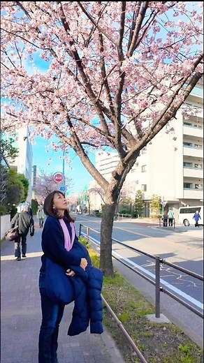 Hana yori Dango #earlybloom #sakura
