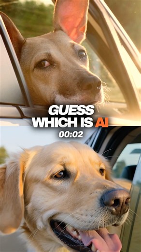 Real or AI? How many did you guess? #async #realorai #async