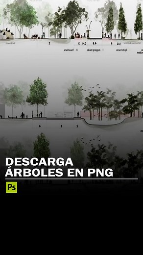 Descarga árboles en PNG desde meye ✅️