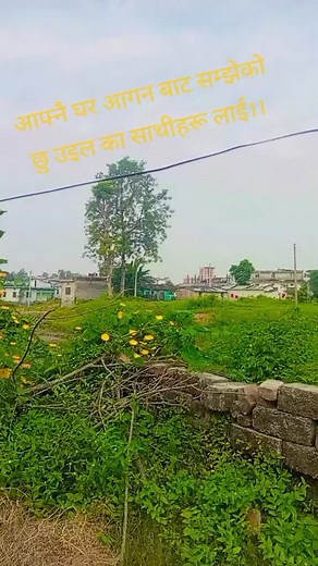 dirgha phulara (@dirghaphulara)’s videos with original sound - dirgha phulara