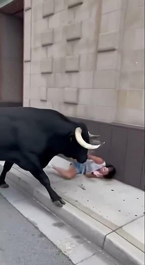 A bull chases a woman down the street, and as she tries to escape, she takes a hard fall.