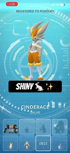 🥇 Shiny Scorbunny to Cinderace! Full Evolution ✨ | Pokémon GO #Shorts