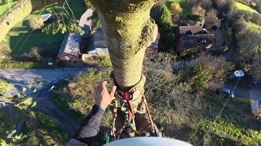 Topping him out in the Shropshire Hills. 🌳 For all enquiries contact - 📞 - Stefan - 07527787125 ✉️ - wyretreeservices@gmail.com | Wyre Tree Services