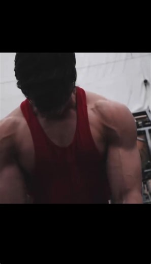 David Laid Transformation Journey and Fitness Tips