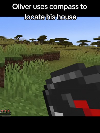 Oliver's Astrophysicist Moment in Minecraft