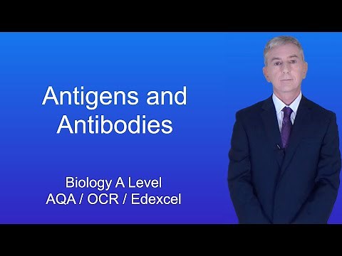 A Level Biology Revision "Antigens and Antibodies"