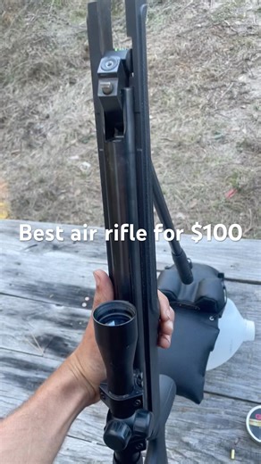 Best budget air rifle for beginners #outdoors #hunting #airrifleshooting #pelletguns