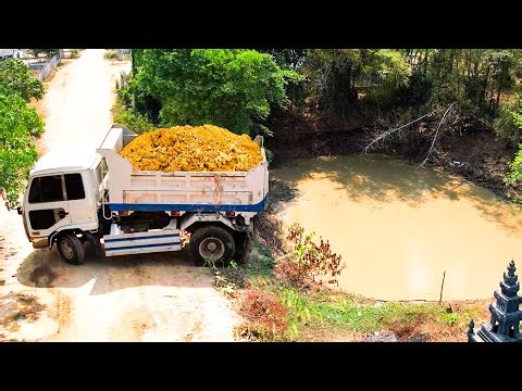 Full Start Processing Project!! Landfill Delete Deep Pond By Dozer Pushing Soil With Dump Truck 5t