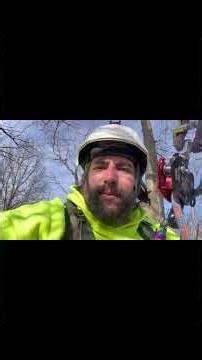 Structure pruning a red maple