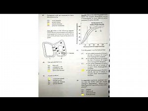 CAPE BIOLOGY 2019 unit 2 paper 1