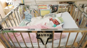 Demographers Warn of Impending Population Collapse