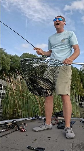 Giant bowfin on a fly rod! #bassfishing #fishing #wisconsin #bowfin