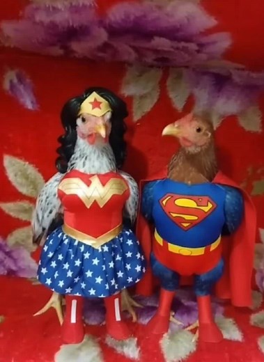 Cómo crear una web con WordPress en 2024