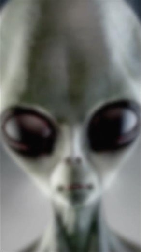 The Greys: Notorious Supernatural Beings | #alien #abduction