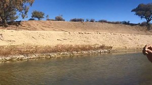 Barkandji Elder Badger Bates wouldn't drink the Darling River water. Would you? | ABC Broken Hill
