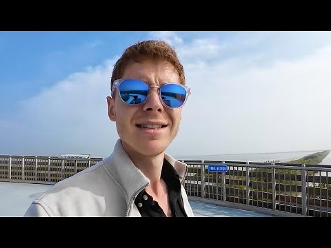 Vlog | Meet red-crowned crane in E China's wetlands