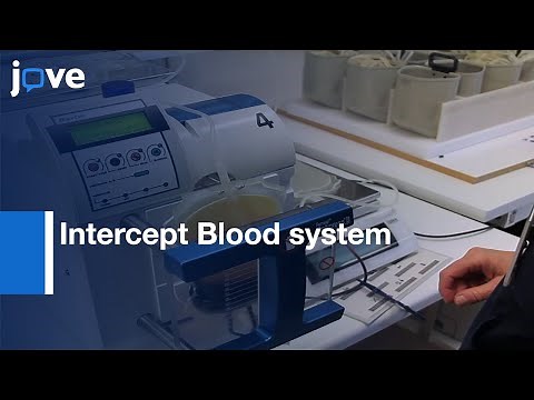 Intercept Blood System: Inactivation of Buffy coat platelets | Protocol Preview