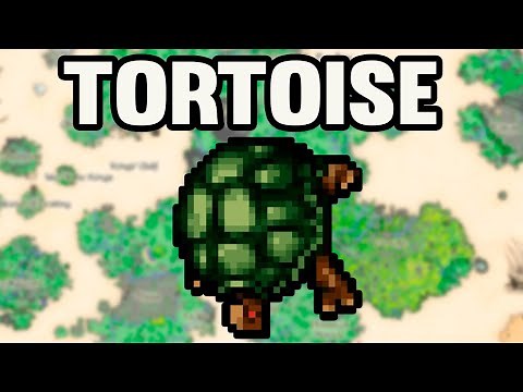 Tibia: Where to Hunt Tortoises