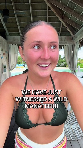 Experiencing a Wild Manatee in the Bahamas