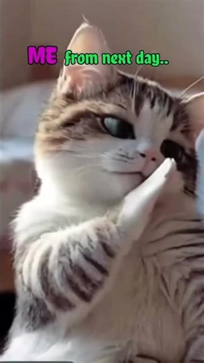 Screen band… parents start 😂💃👶 #shorts #parentlife #familyfun #funnyparents