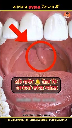 What Is The Purpose Of Your Uvula? 😱 #shorts #ytshorts #facts