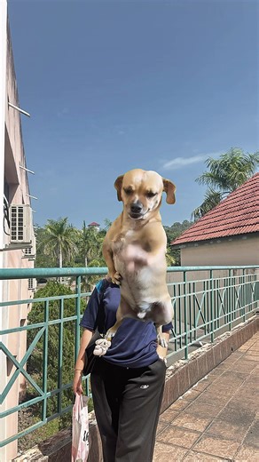 Funny CapCut Velocity Edits in Kota Kinabalu