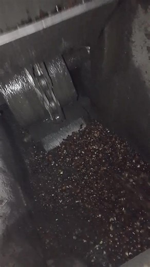 ⚙️ “This machine handles wet palm kernels nonstop — no breaks, no waste.” Wet Kernel Elevator keeping the process smooth and efficient. #PalmOilMillGlobal #GlobalFyp #MillFactory | Andry Syahputra