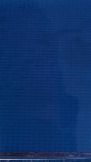 4.8K views | What's Inside Bathbomb & Slime?  LEGO Pieces of Dogs & Cats!  DIY Fidget Fun!  | 123 GO Challenge | Facebook