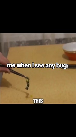 i hate those damn creepy crawlers #bugssuck #hatebugs #relatable #fypppppppppppppppppppppp #fyppppppppppppp #bugs #wtf