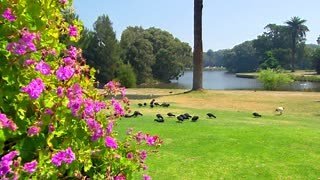 53K views · 636 reactions | It's time to mulch with Who Flung Dung...