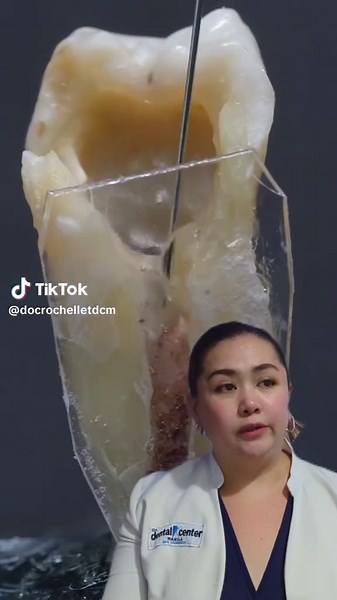 Educational Insights Using CapCut for Learning