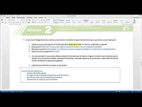 MÓDULO 2 ⭐ Semana 1 ⭐ Actividades integradoras 😱