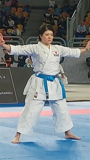 Ultimate Karate Kata Techniques