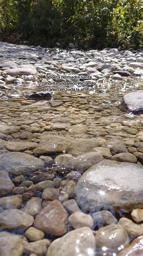 Supe Perder: La Nueva Canción de Bad Bunny