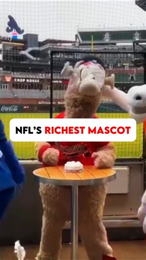 Sports Bee on Instagram: "The NFL Mascot Who Makes More Than You Think! #NFL #NFLFacts #FootballTrivia #NFLMascots #NFLMoney #SportsTalk #NFLFunFacts #GridironTalk #FootballFans #CrazyNFLFacts"