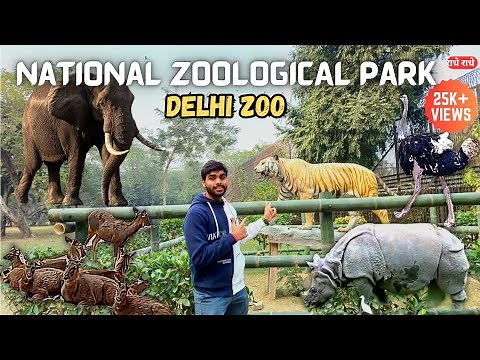 Delhi Zoo Full Tour & Guide | National Zoological Park Delhi | Delhi's Chidiya Ghar | VlogsWithSans