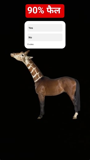 This Viral Filter Just Changed Everything!" This Filter Is Breaking the Internet!"