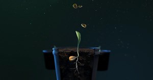 11 reactions | The #CornRevolution means 18x more candidates are in...