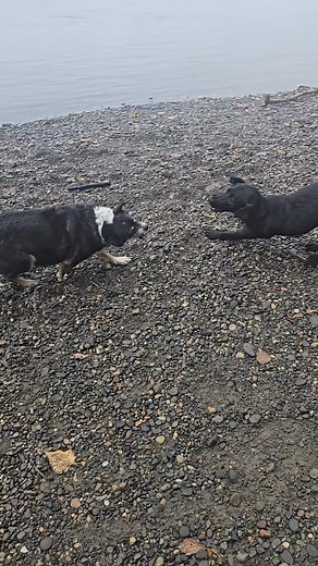 Mark Thomson on Reels