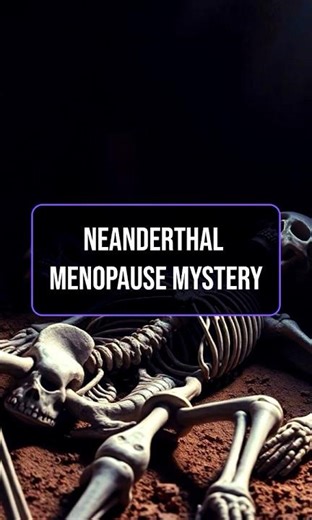 Did Neanderthals Have Menopause Too?