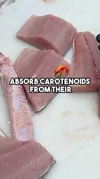 This genetic variation can change the color AND flavor of salmon 🤯 #fish #alaska #science #fishing