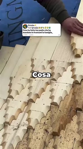 Curio_Shock (@curio_shok.ita)’s videos with audio originale - Curio_Shock