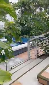 R&J Gardens on Reels