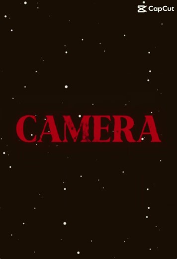 Your the main attraction light camera action #dog #spaniel #edit #trend #main-attraction