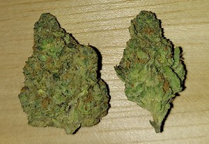 Wet Dream | Marijuana Strain Reviews